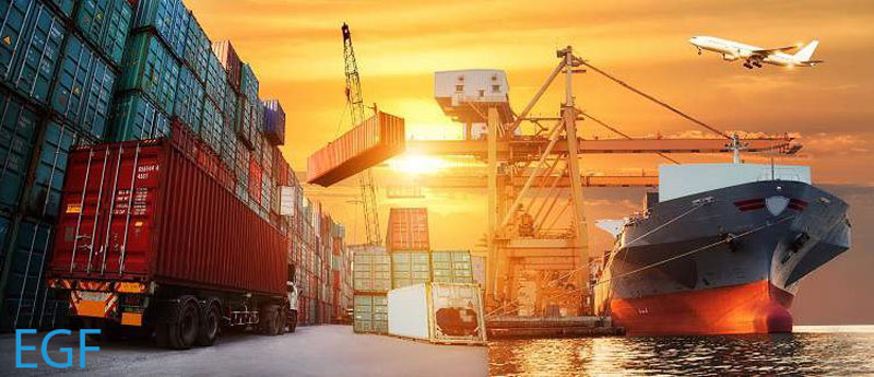 Logistics và Freight Forwarder